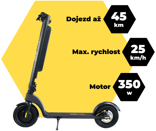 Bee Free Scooter 1